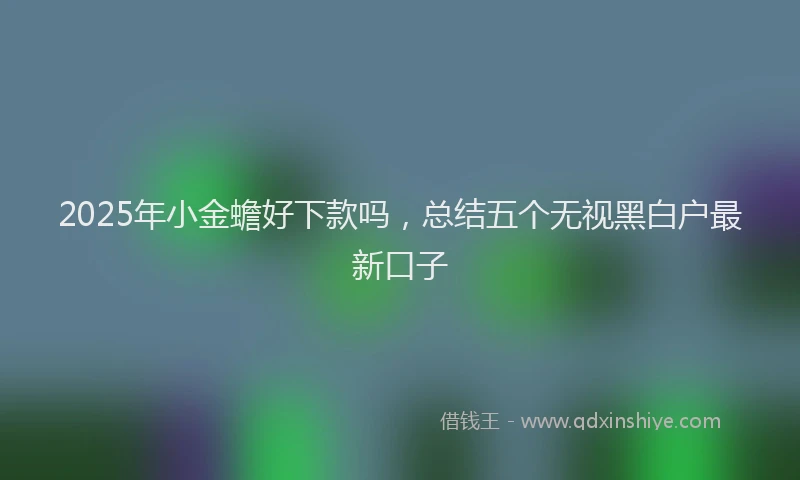 2025年小金蟾好下款吗，总结五个无视黑白户最新口子
