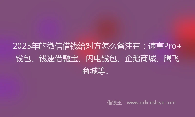 2025年的微信借钱给对方怎么备注有：速享Pro+钱包、钱速借融宝、闪电钱包、企鹅商城、腾飞商城等。