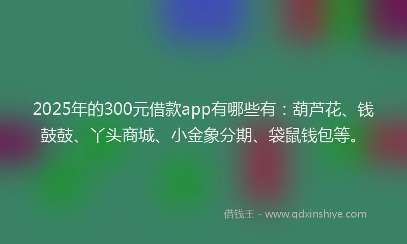 2025年的300元借款app有哪些有：葫芦花、钱鼓鼓、丫头商城、小金象分期、袋鼠钱包等。