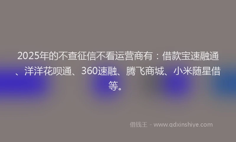 2025年的不查征信不看运营商有：借款宝速融通、洋洋花呗通、360速融、腾飞商城、小米随星借等。