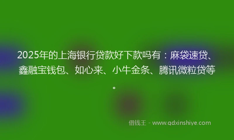 2025年的上海银行贷款好下款吗有：麻袋速贷、鑫融宝钱包、如心来、小牛金条、腾讯微粒贷等。