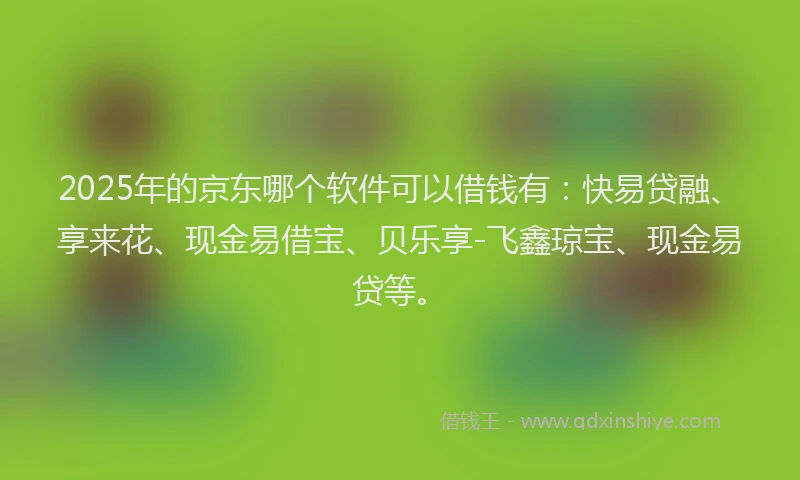 2025年的京东哪个软件可以借钱有：快易贷融、享来花、现金易借宝、贝乐享-飞鑫琼宝、现金易贷等。