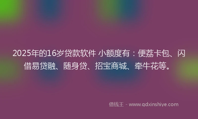 2025年的16岁贷款软件 小额度有：便荔卡包、闪借易贷融、随身贷、招宝商城、牵牛花等。