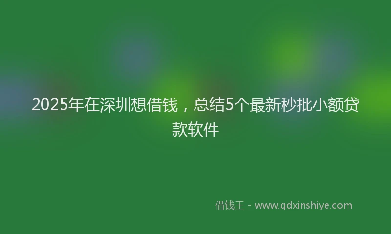 2025年在深圳想借钱，总结5个最新秒批小额贷款软件