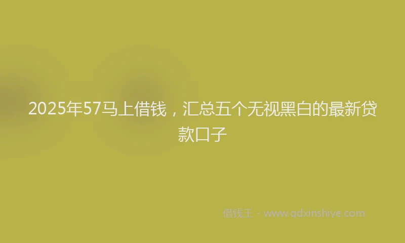2025年57马上借钱，汇总五个无视黑白的最新贷款口子