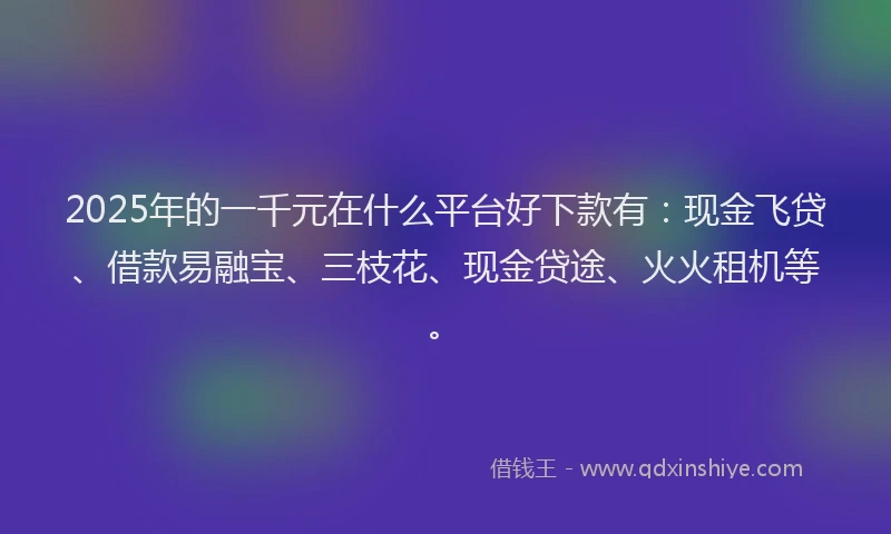 2025年的一千元在什么平台好下款有：现金飞贷、借款易融宝、三枝花、现金贷途、火火租机等。