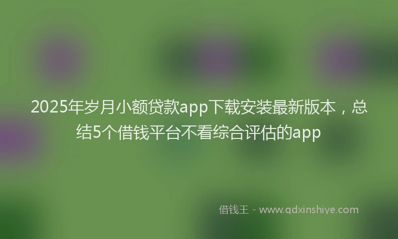 2025年岁月小额贷款app下载安装最新版本，总结5个借钱平台不看综合评估的app