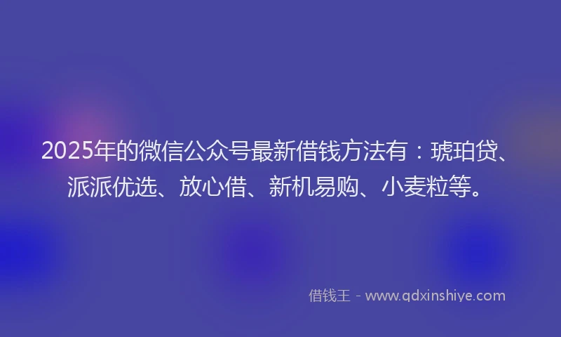 2025年的微信公众号最新借钱方法有：琥珀贷、派派优选、放心借、新机易购、小麦粒等。