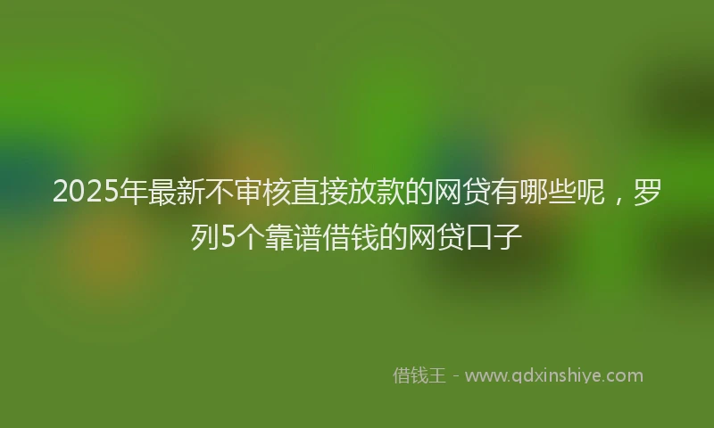 2025年最新不审核直接放款的网贷有哪些呢，罗列5个靠谱借钱的网贷口子