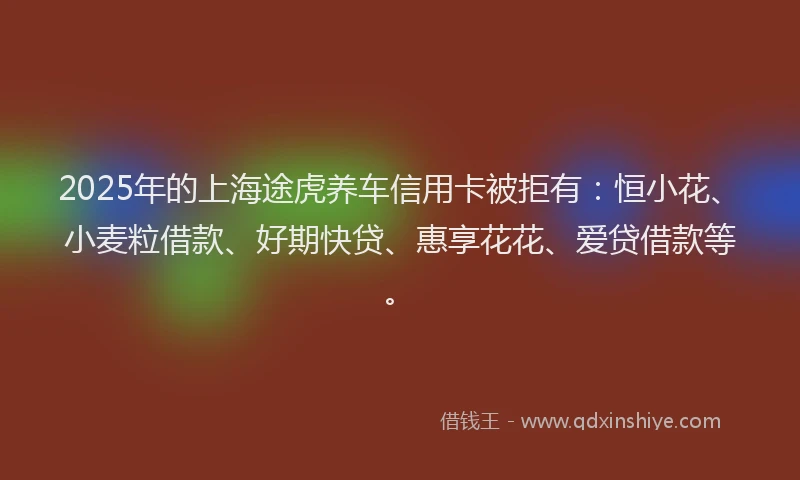 2025年的上海途虎养车信用卡被拒有：恒小花、小麦粒借款、好期快贷、惠享花花、爱贷借款等。