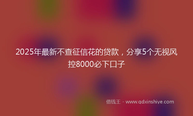 2025年最新不查征信花的贷款，分享5个无视风控8000必下口子