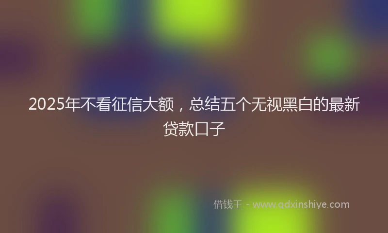 2025年不看征信大额，总结五个无视黑白的最新贷款口子