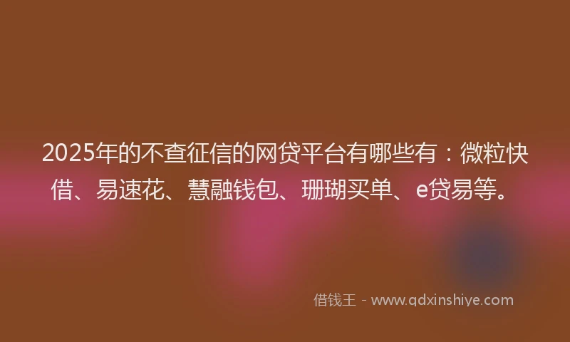 2025年的不查征信的网贷平台有哪些有：微粒快借、易速花、慧融钱包、珊瑚买单、e贷易等。