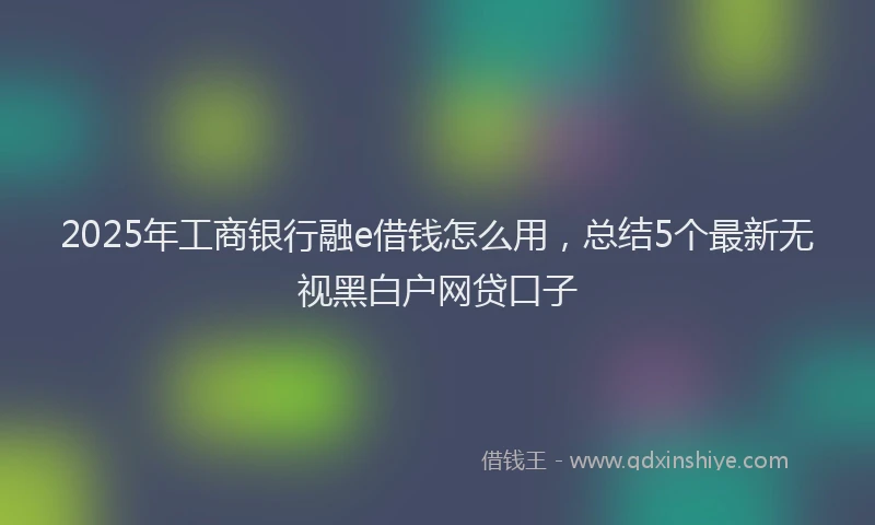 2025年工商银行融e借钱怎么用，总结5个最新无视黑白户网贷口子