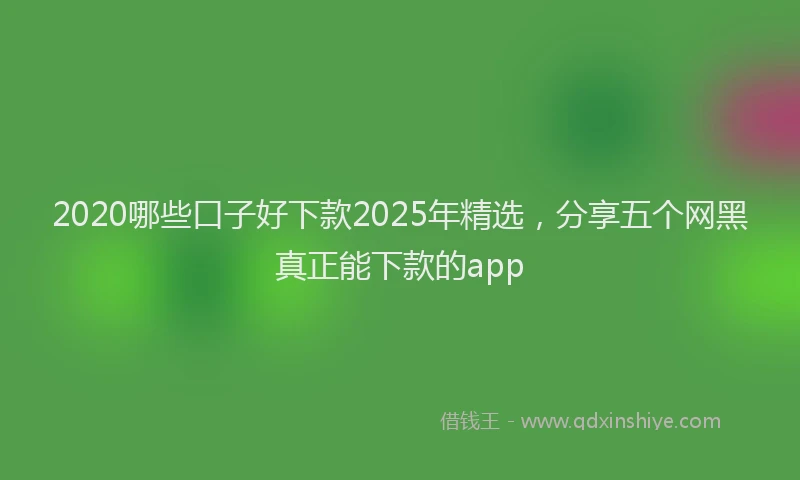 2020哪些口子好下款2025年精选，分享五个网黑真正能下款的app