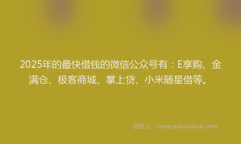2025年的最快借钱的微信公众号有：E享购、金满仓、极客商城、掌上贷、小米随星借等。