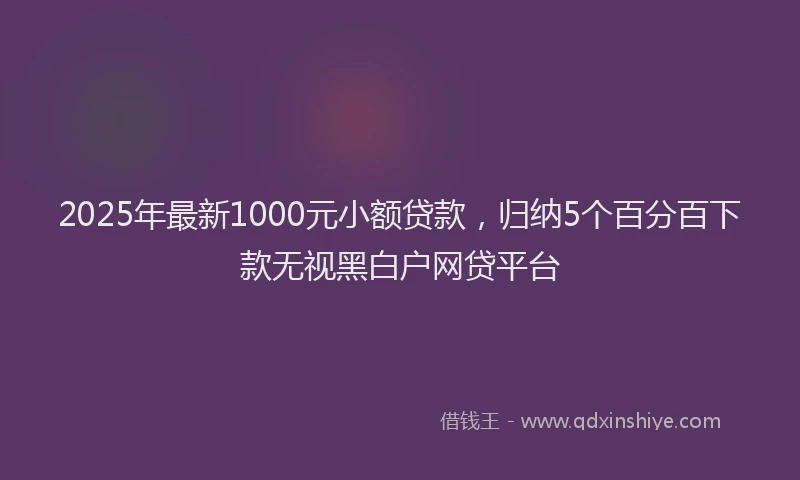 2025年最新1000元小额贷款，归纳5个百分百下款无视黑白户网贷平台