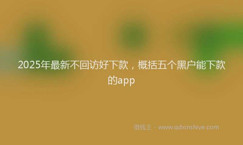 2025年最新不回访好下款，概括五个黑户能下款的app