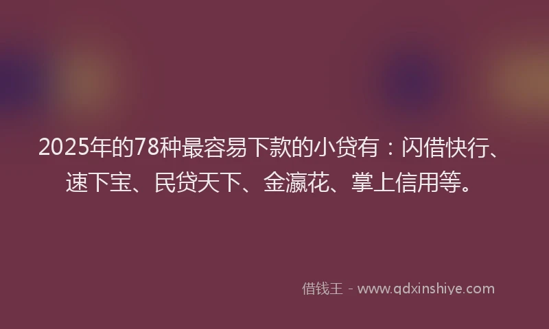 2025年的78种最容易下款的小贷有：闪借快行、速下宝、民贷天下、金瀛花、掌上信用等。