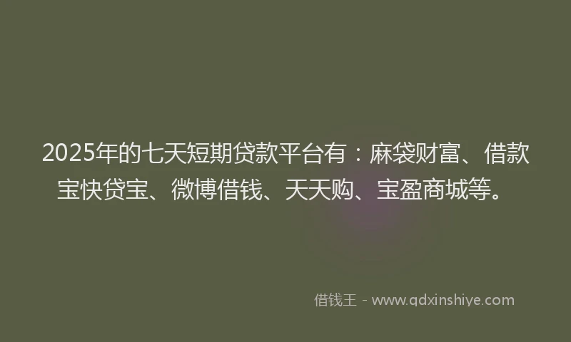 2025年的七天短期贷款平台有：麻袋财富、借款宝快贷宝、微博借钱、天天购、宝盈商城等。
