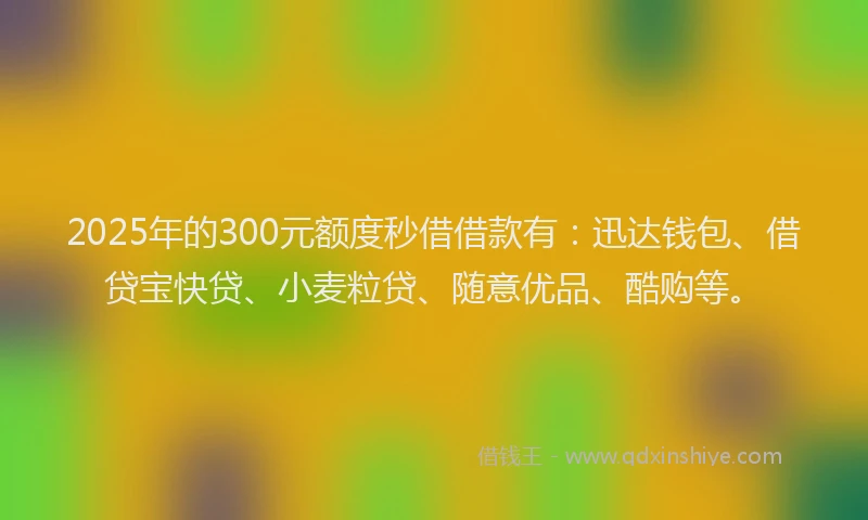 2025年的300元额度秒借借款有：迅达钱包、借贷宝快贷、小麦粒贷、随意优品、酷购等。