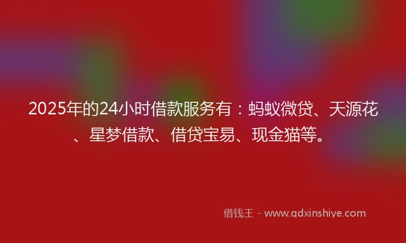 2025年的24小时借款服务有：蚂蚁微贷、天源花、星梦借款、借贷宝易、现金猫等。