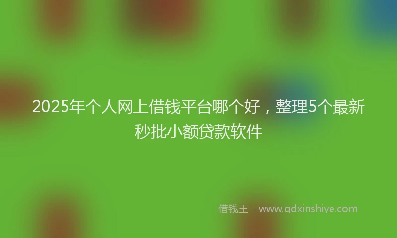2025年个人网上借钱平台哪个好，整理5个最新秒批小额贷款软件