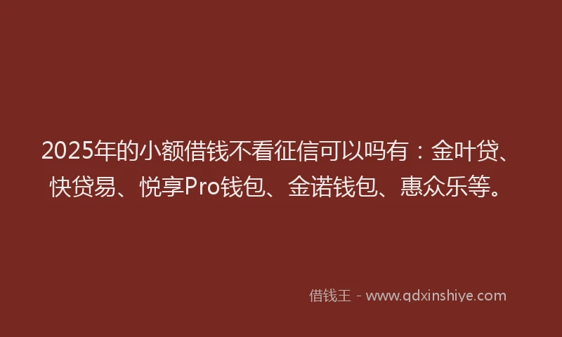 2025年的小额借钱不看征信可以吗有：金叶贷、快贷易、悦享Pro钱包、金诺钱包、惠众乐等。