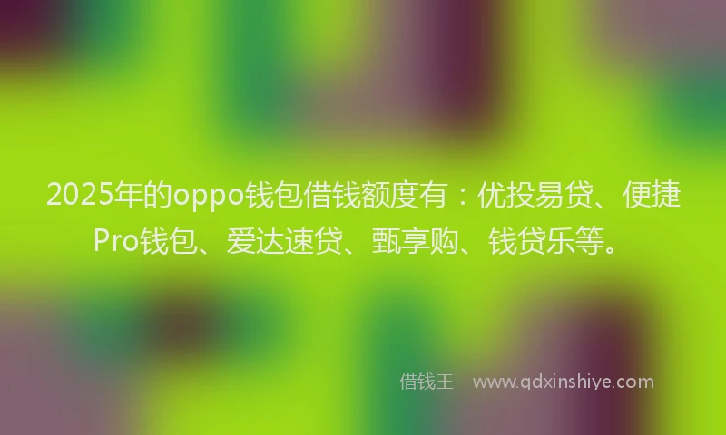 2025年的oppo钱包借钱额度有：优投易贷、便捷Pro钱包、爱达速贷、甄享购、钱贷乐等。