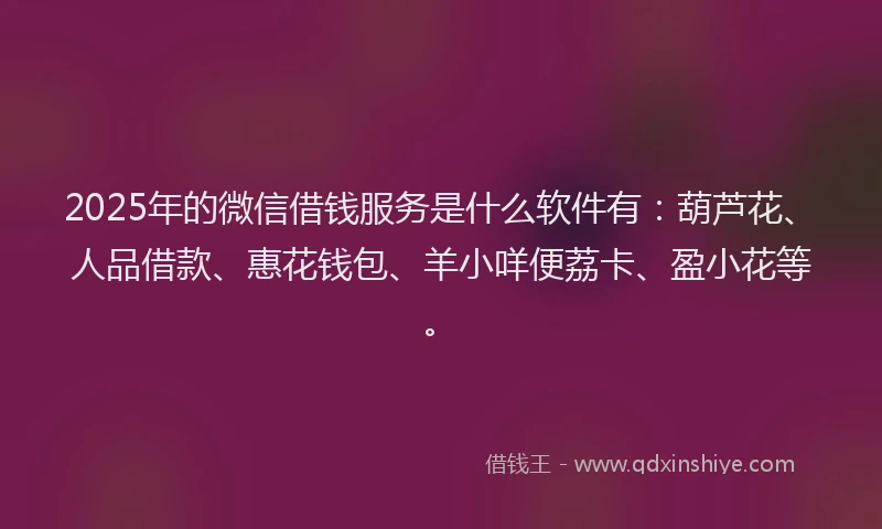 2025年的微信借钱服务是什么软件有：葫芦花、人品借款、惠花钱包、羊小咩便荔卡、盈小花等。