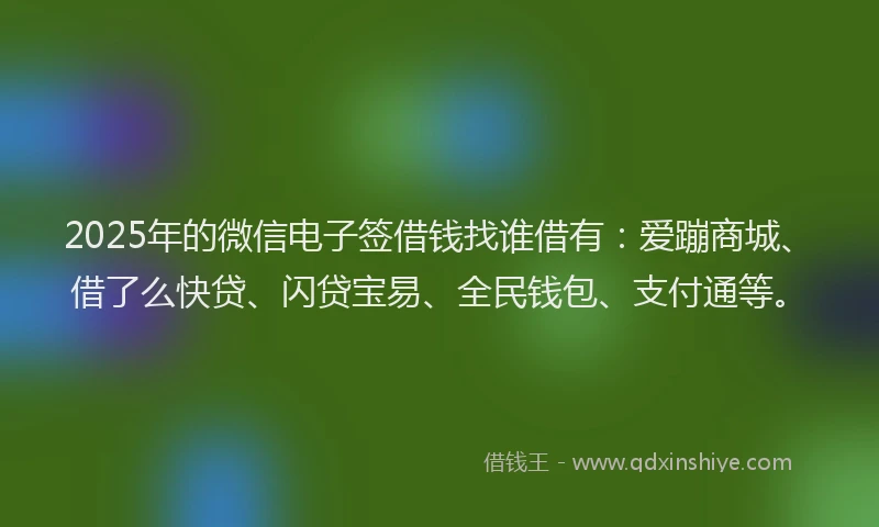 2025年的微信电子签借钱找谁借有：爱蹦商城、借了么快贷、闪贷宝易、全民钱包、支付通等。