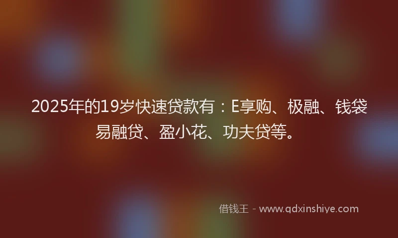 2025年的19岁快速贷款有：E享购、极融、钱袋易融贷、盈小花、功夫贷等。