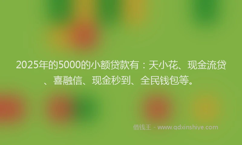2025年的5000的小额贷款有：天小花、现金流贷、喜融信、现金秒到、全民钱包等。