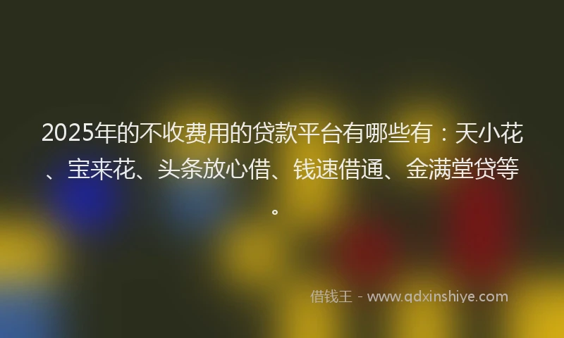 2025年的不收费用的贷款平台有哪些有：天小花、宝来花、头条放心借、钱速借通、金满堂贷等。