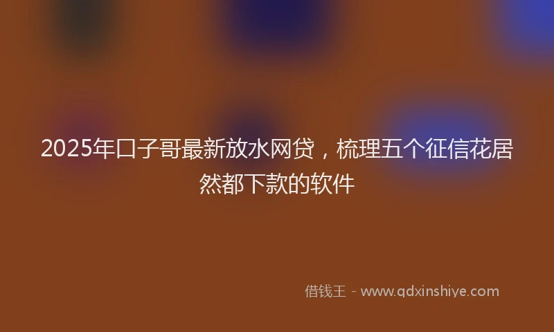 2025年口子哥最新放水网贷，梳理五个征信花居然都下款的软件