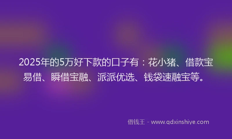 2025年的5万好下款的口子有：花小猪、借款宝易借、瞬借宝融、派派优选、钱袋速融宝等。