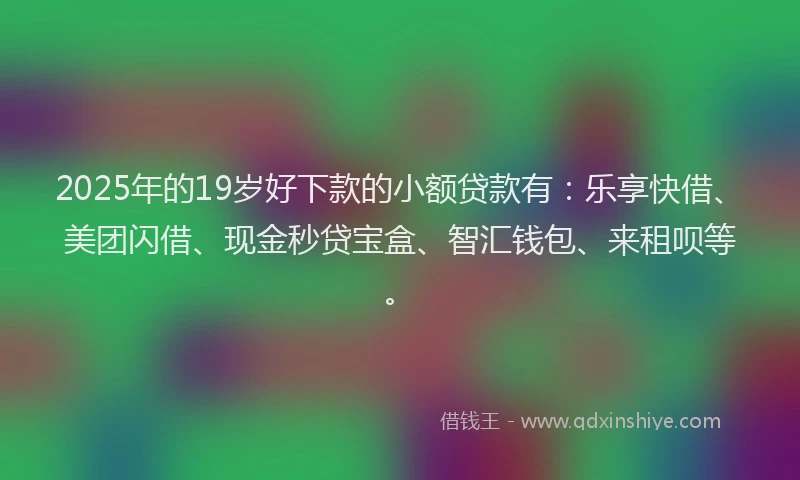 2025年的19岁好下款的小额贷款有：乐享快借、美团闪借、现金秒贷宝盒、智汇钱包、来租呗等。
