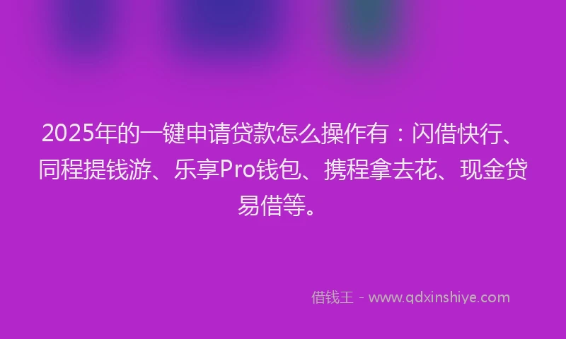 2025年的一键申请贷款怎么操作有：闪借快行、同程提钱游、乐享Pro钱包、携程拿去花、现金贷易借等。