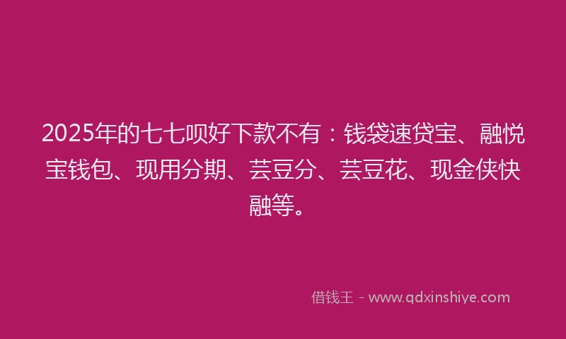 2025年的七七呗好下款不有：钱袋速贷宝、融悦宝钱包、现用分期、芸豆分、芸豆花、现金侠快融等。