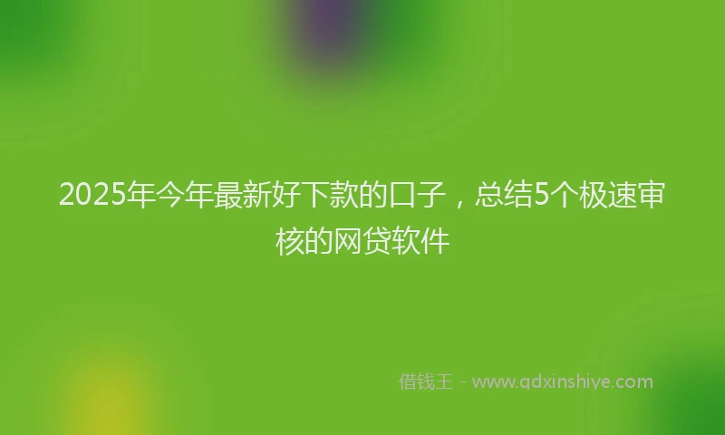 2025年今年最新好下款的口子，总结5个极速审核的网贷软件