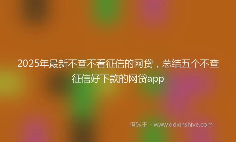 2025年最新不查不看征信的网贷，总结五个不查征信好下款的网贷app