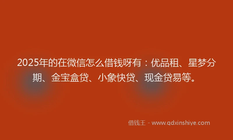 2025年的在微信怎么借钱呀有：优品租、星梦分期、金宝盒贷、小象快贷、现金贷易等。