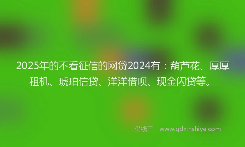 2025年的不看征信的网贷2024有：葫芦花、厚厚租机、琥珀信贷、洋洋借呗、现金闪贷等。