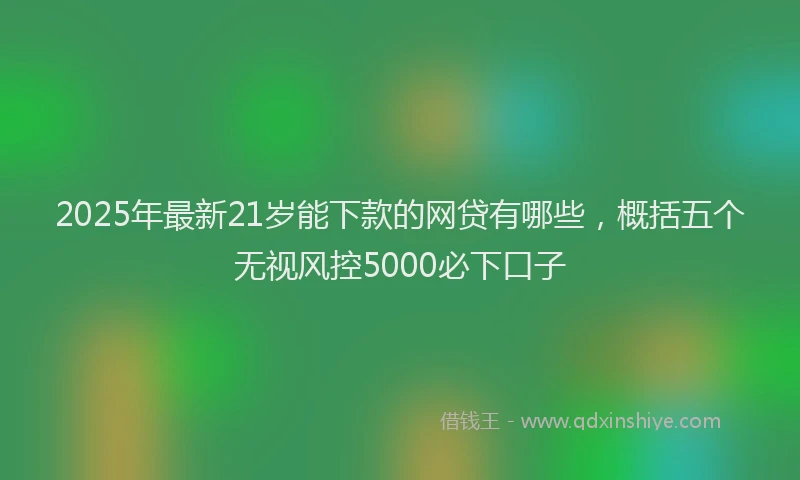 2025年最新21岁能下款的网贷有哪些，概括五个无视风控5000必下口子