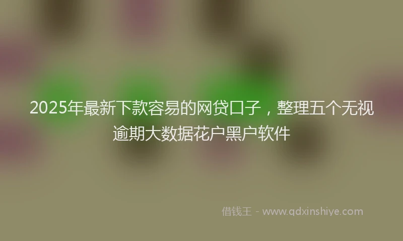 2025年最新下款容易的网贷口子，整理五个无视逾期大数据花户黑户软件