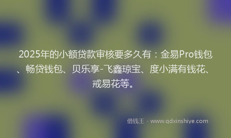 2025年的小额贷款审核要多久有：金易Pro钱包、畅贷钱包、贝乐享-飞鑫琼宝、度小满有钱花、戒易花等。