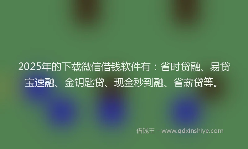 2025年的下载微信借钱软件有：省时贷融、易贷宝速融、金钥匙贷、现金秒到融、省薪贷等。