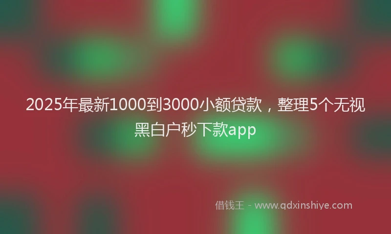 2025年最新1000到3000小额贷款，整理5个无视黑白户秒下款app