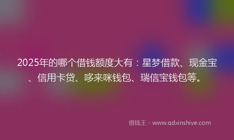 2025年的哪个借钱额度大有：星梦借款、现金宝、信用卡贷、哆来咪钱包、瑞信宝钱包等。