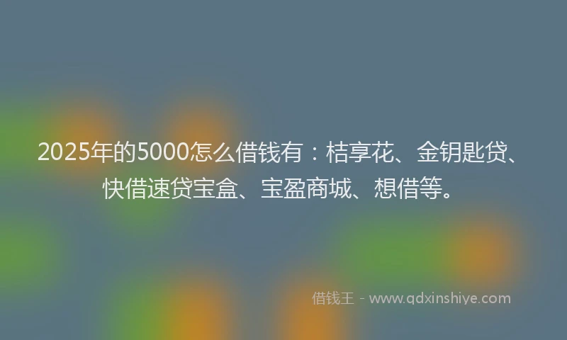 2025年的5000怎么借钱有：桔享花、金钥匙贷、快借速贷宝盒、宝盈商城、想借等。